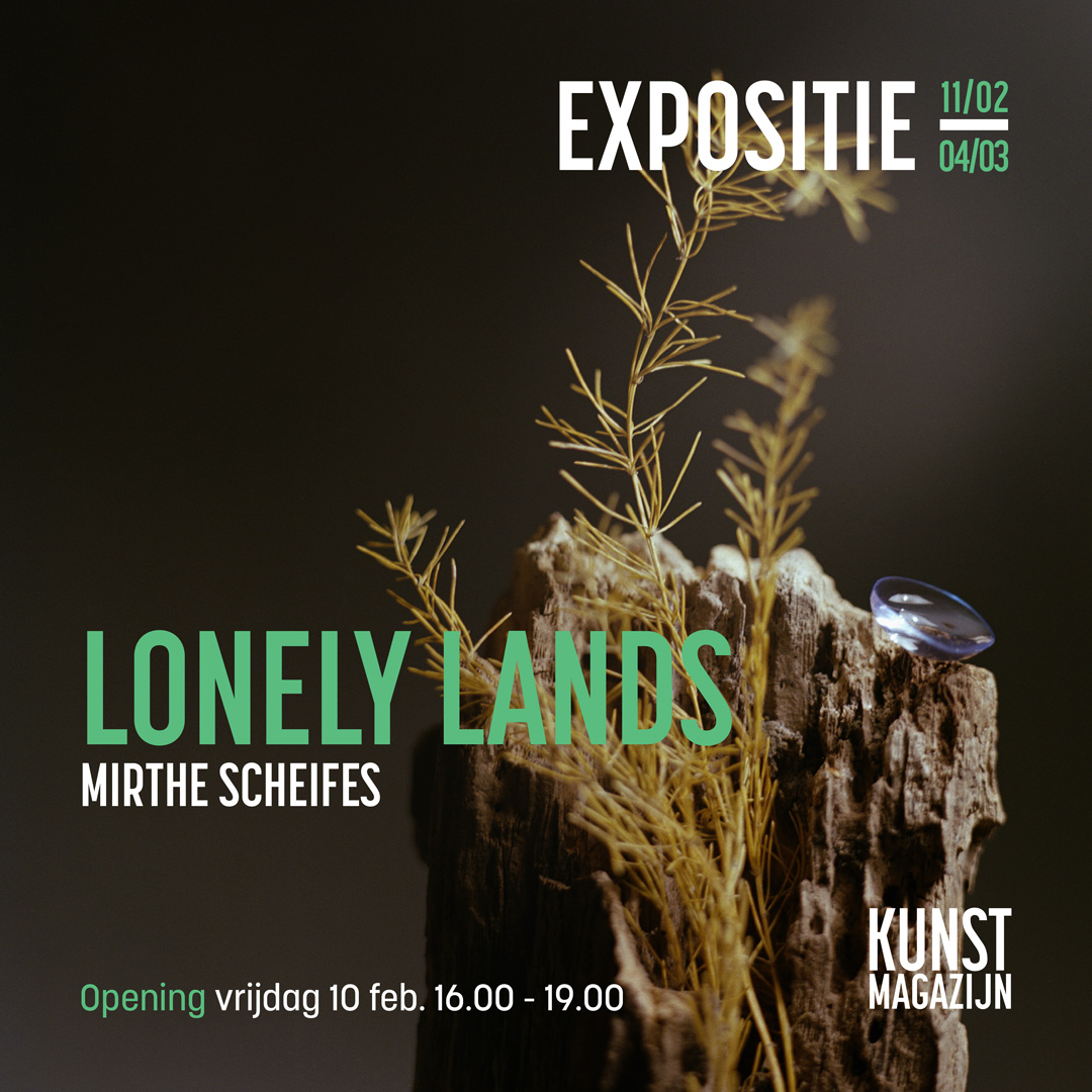 Lonely lands | Mirthe Scheifes