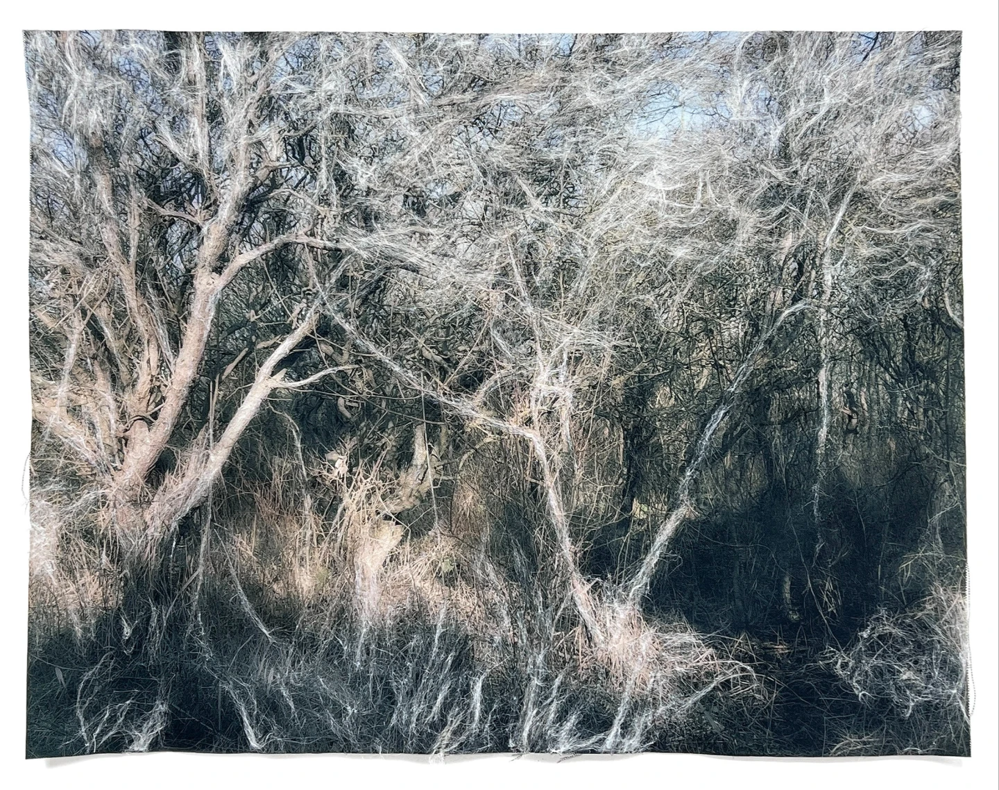 Rommelbos (2025), fotografie, fiberart, 131x101 cm